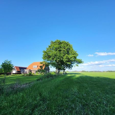 Bed & Breakfast De Vink Terschuur Eksteriør bilde